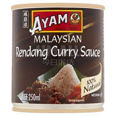 Ayam 马来西亚仁当咖喱酱 250ml