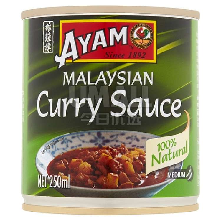ayam-malaysian-curry-paste-250ml-1