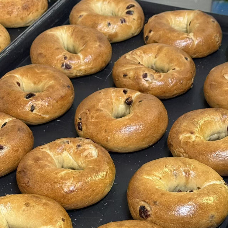 sams-cranberry-bagel-1pc-2