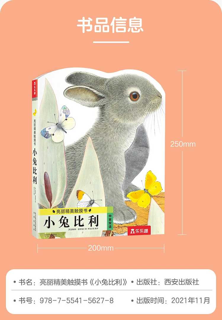 fun-childrens-picture-book-billy-rabbit-0-3-years-14