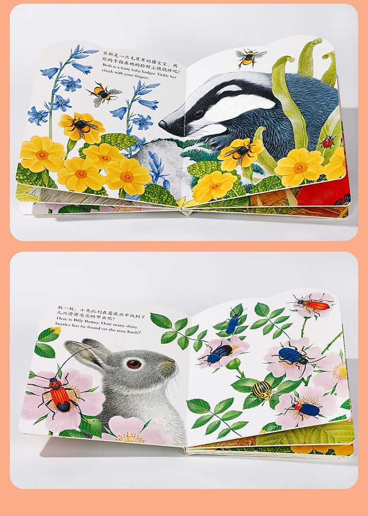 fun-childrens-picture-book-billy-rabbit-0-3-years-15