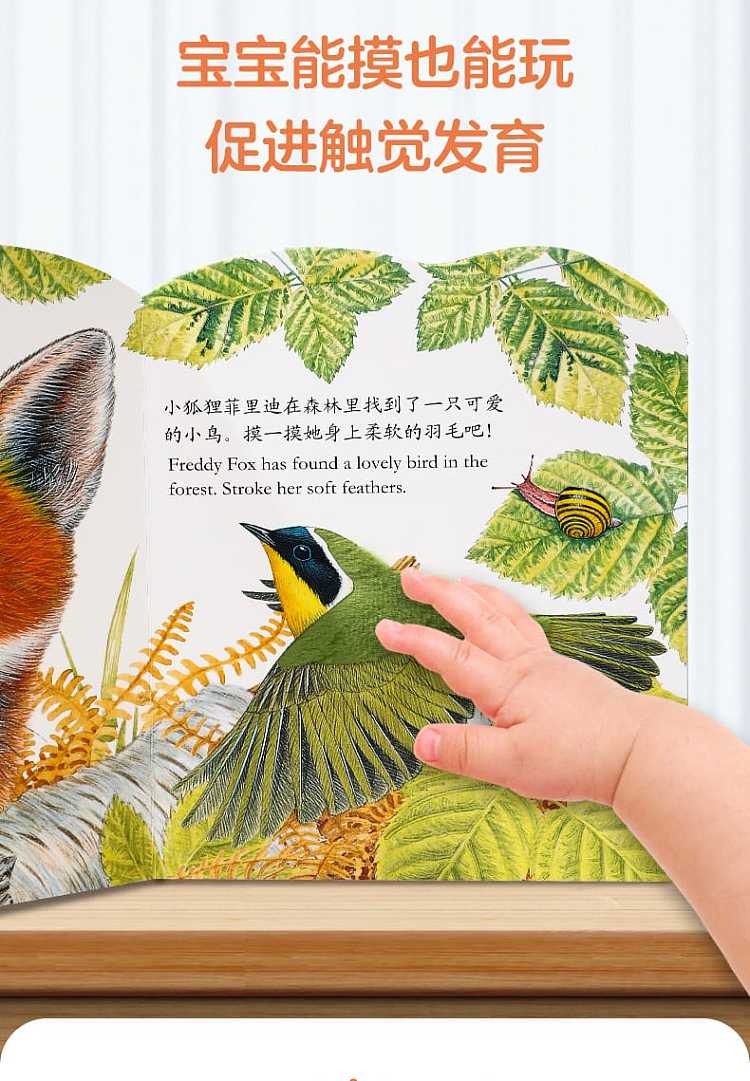 fun-childrens-picture-book-billy-rabbit-0-3-years-6