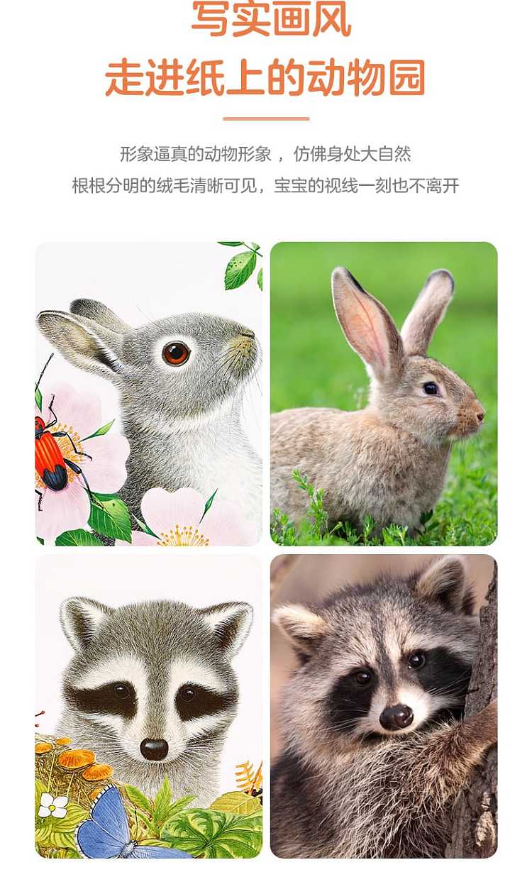 fun-childrens-picture-book-billy-rabbit-0-3-years-7