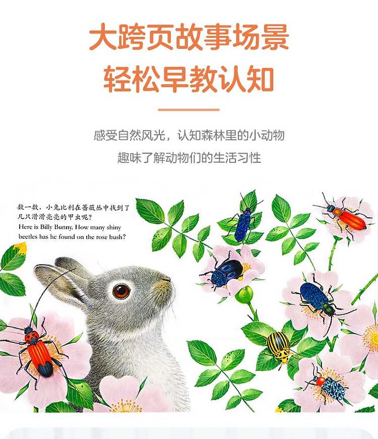 fun-childrens-picture-book-billy-rabbit-0-3-years-9