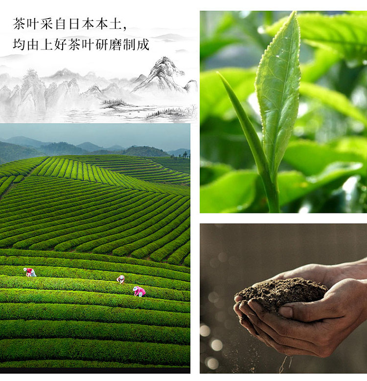 kirin-raw-tea-roasted-sencha-525mlx2-5