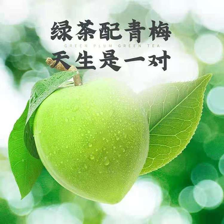 darley-park-plum-green-tea-500ml2-1