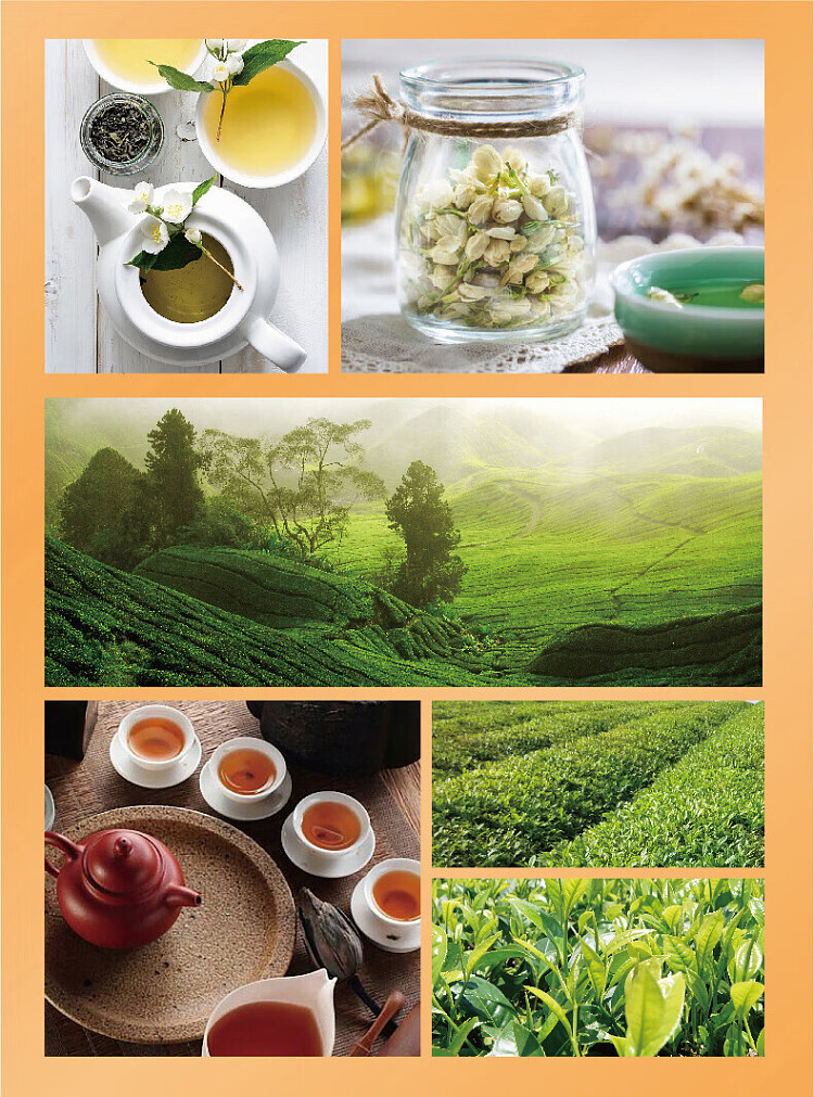 master-kong-jasmine-tea-330mlx2-3