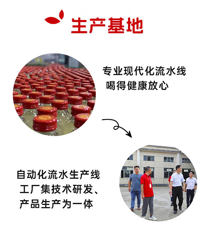 wanglaoji-pomelo-juice-300ml2-4