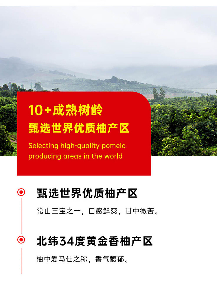 wanglaoji-pomelo-juice-300ml2-6