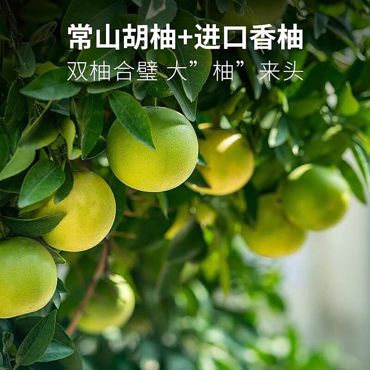 wanglaoji-pomelo-juice-300ml2-3