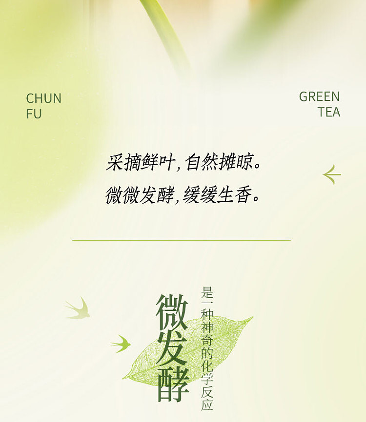 unified-beverage-chun-fu-green-tea-500ml2-2