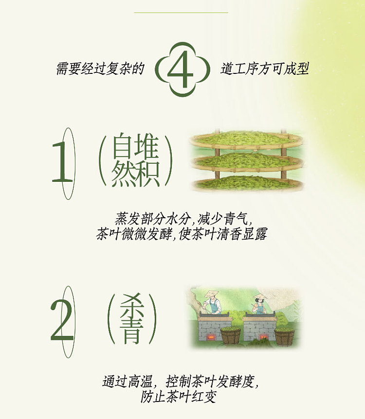 unified-beverage-chun-fu-green-tea-500ml2-4