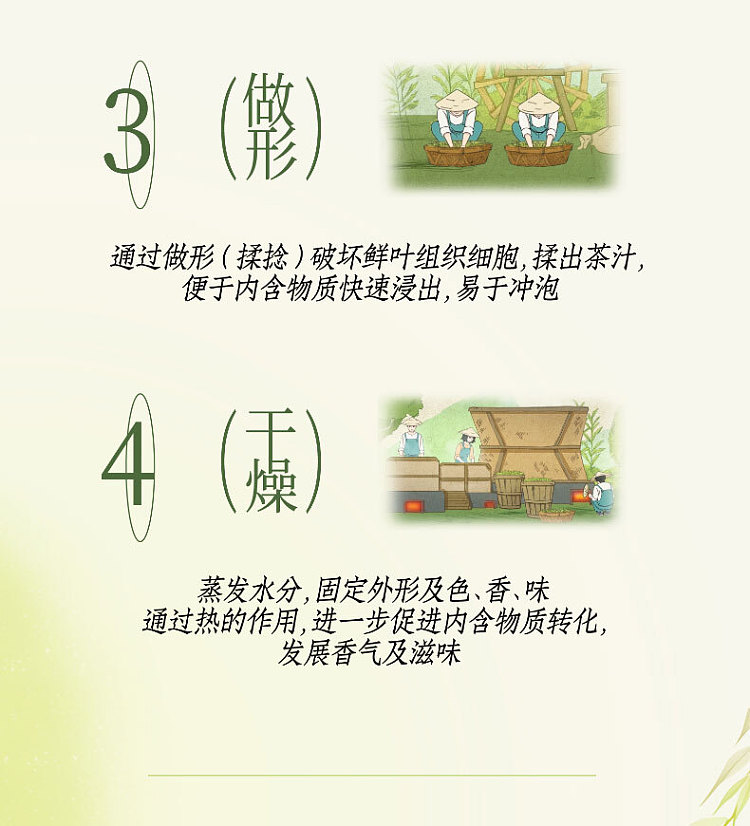 unified-beverage-chun-fu-green-tea-500ml2-5