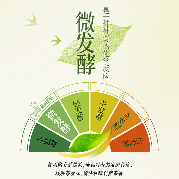 unified-beverage-chun-fu-green-tea-500ml2-3