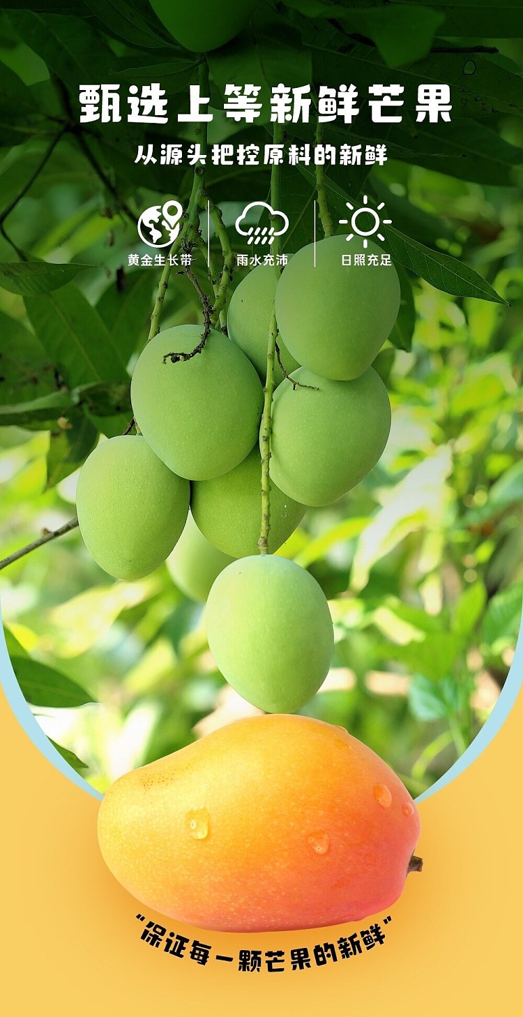 clear-blue-yang-zhi-gan-gan-380ml2-6
