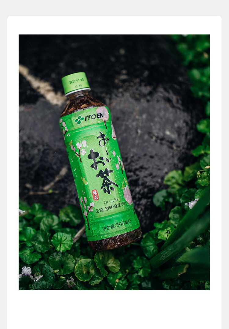 itoyama-original-green-tea-500ml2-1