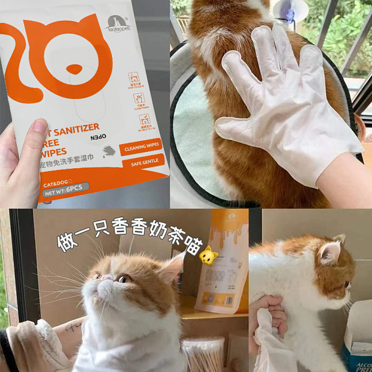 pipitao-pet-no-wash-glove-wipes-6pcs-2