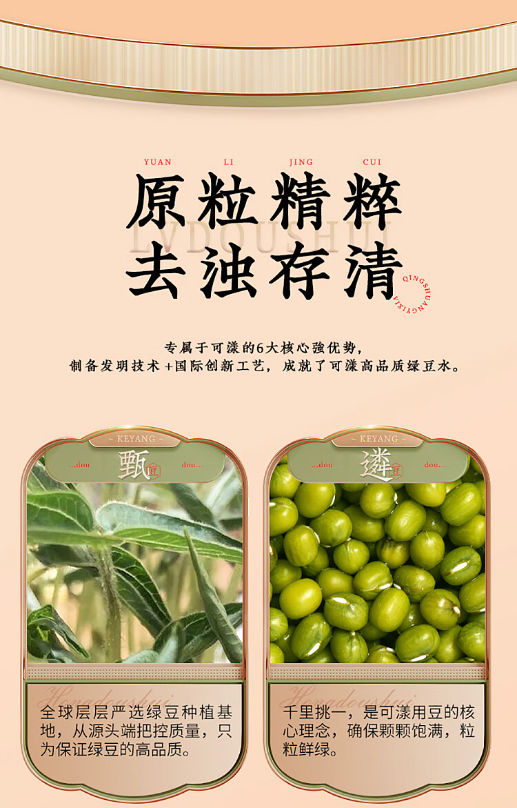ke-yeung-ice-sugar-mung-bean-water-500mlx2-10
