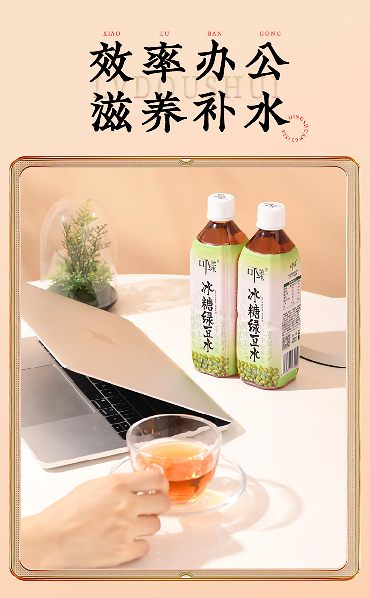 ke-yeung-ice-sugar-mung-bean-water-500mlx2-4