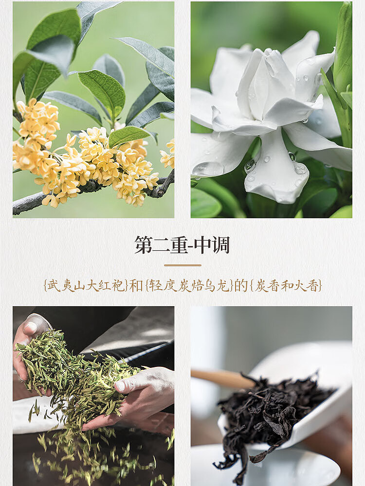 fruit-ripe-golden-laurel-oolong-tea-osmanthus-flavor-500mlx2-10