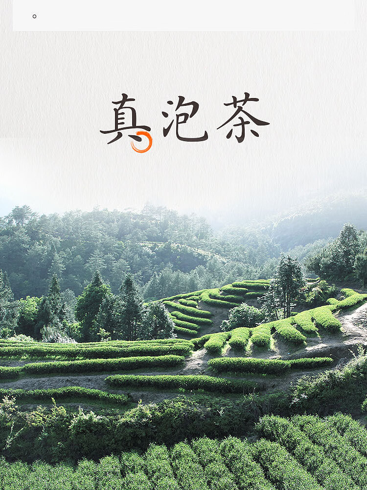 fruit-ripe-golden-laurel-oolong-tea-osmanthus-flavor-500mlx2-4