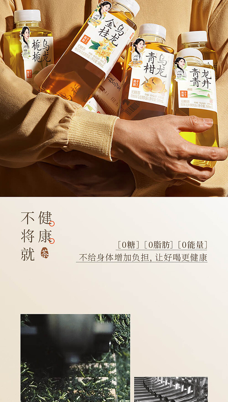 fruit-ripe-unsweetened-tea-green-dragonwell-500ml2-2