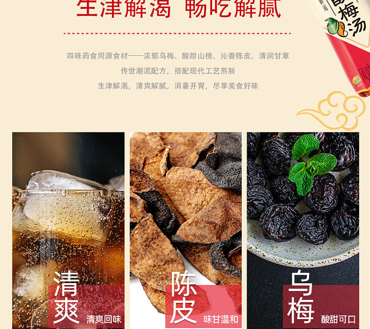 master-kong-chen-pei-sour-plum-soup-500mlx2-4