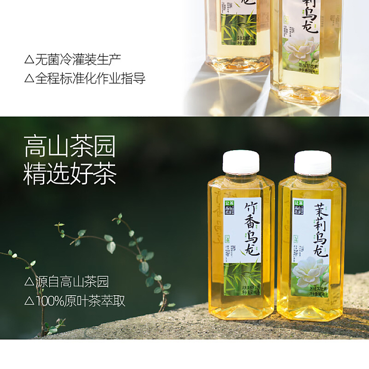 jean-tea-alpine-flower-tea-bamboo-scent-oolong-tea-500mlx2-16