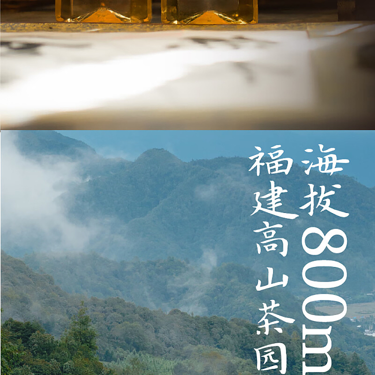 jean-tea-alpine-flower-tea-bamboo-scent-oolong-tea-500mlx2-5