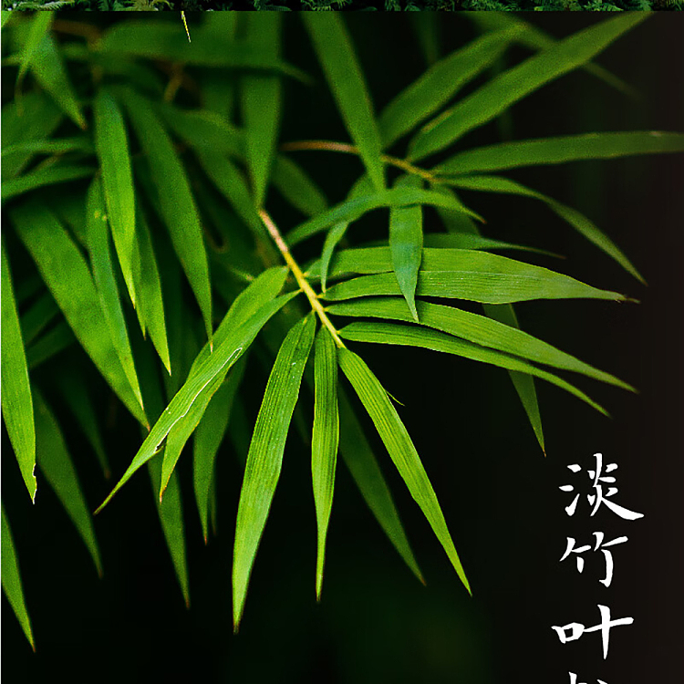 jean-tea-alpine-flower-tea-bamboo-scent-oolong-tea-500mlx2-7