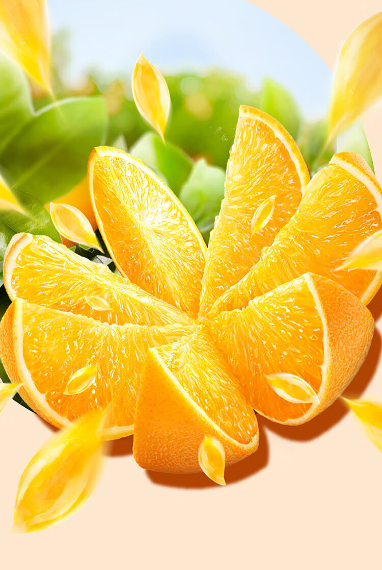 minute-maid-fruit-orange-450mlx2-5