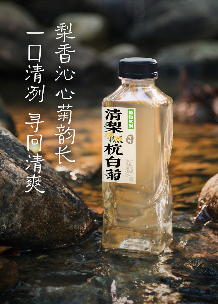 plant-arrival-plum-tangerine-drink-500ml-2-4