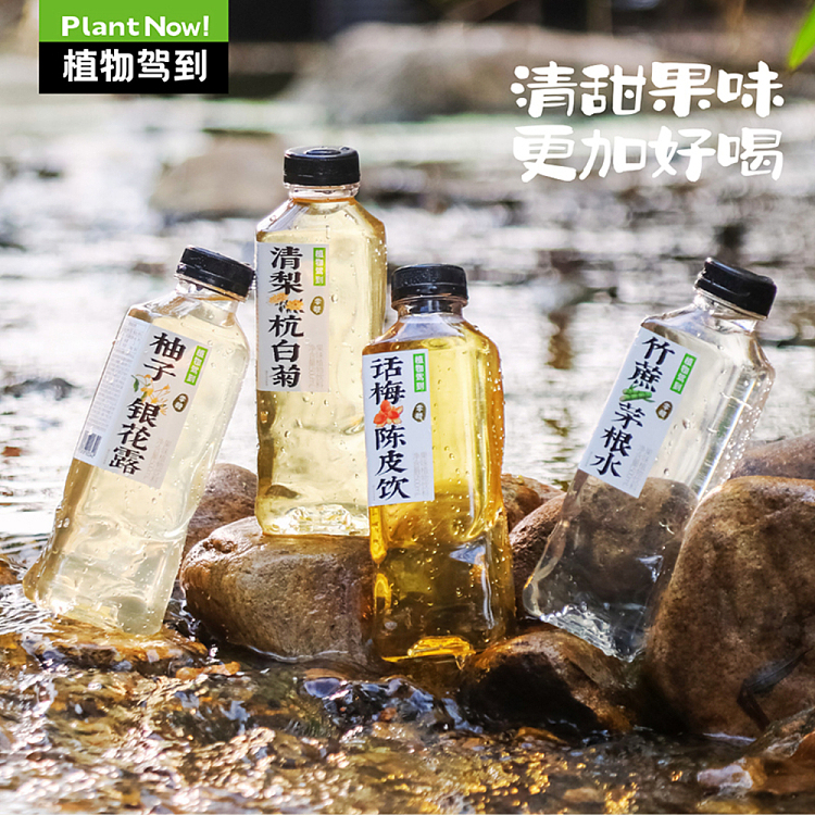 botanicals-to-the-pear-fruit-flavor-500ml2-2