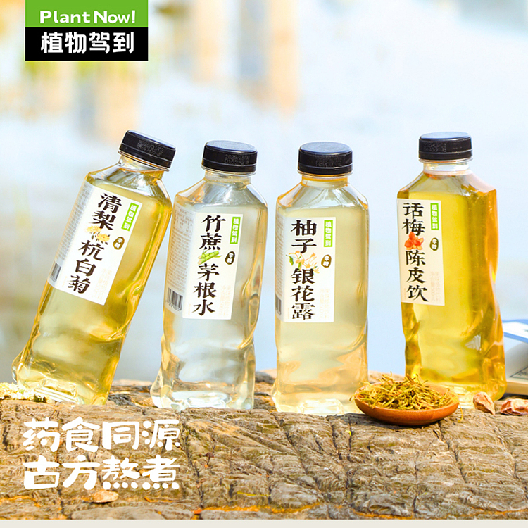botanicals-to-the-pear-fruit-flavor-500ml2-3