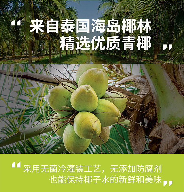 if-100-natural-coconut-water-350mlx2-2