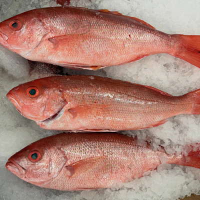【冻】整条本地野生红立鱼 Saddle Tail Snapper 2条（未清理）约750-950g