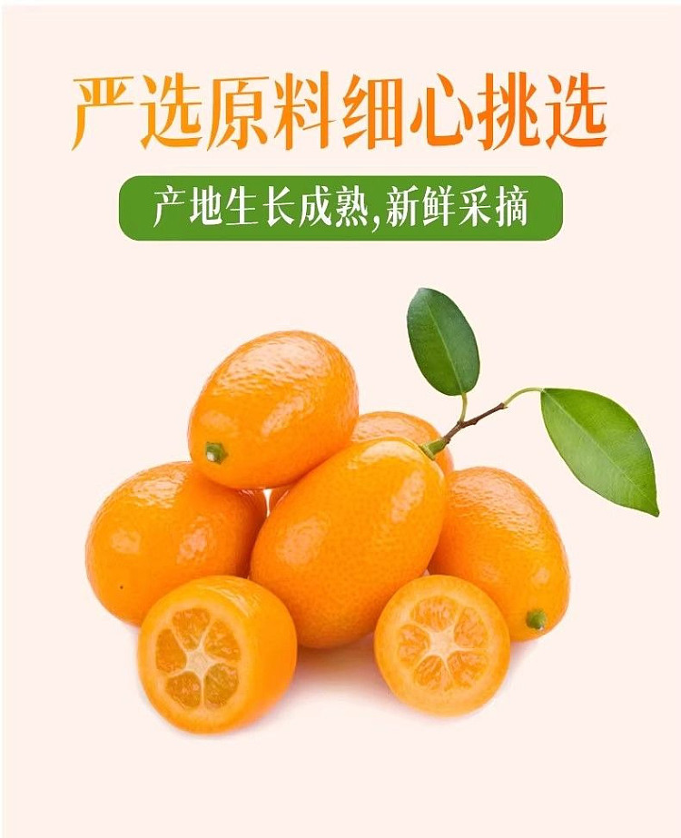 jiabao-kumquat-150g-4