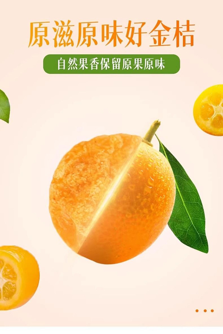 jiabao-kumquat-150g-5