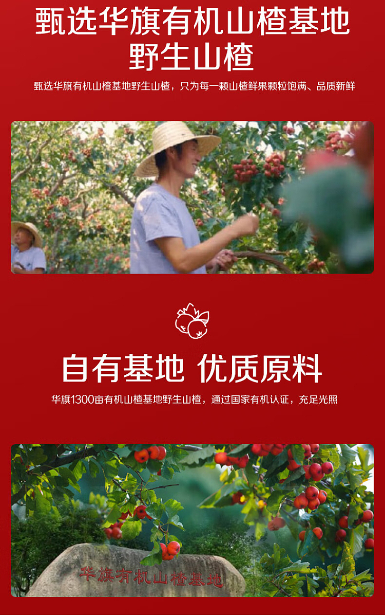 huaqi-hawthorn-fruit-tea-red-bottle-128l-6