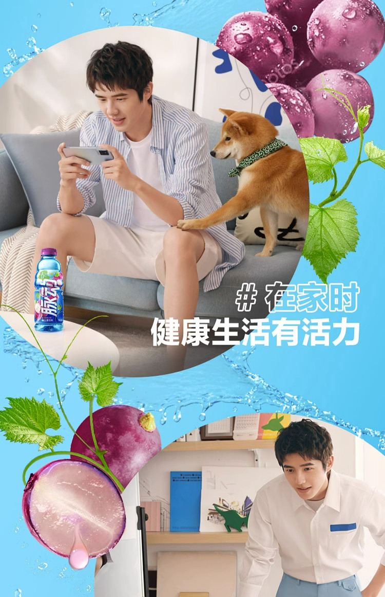 pulse-rose-grape-flavor-600ml-13
