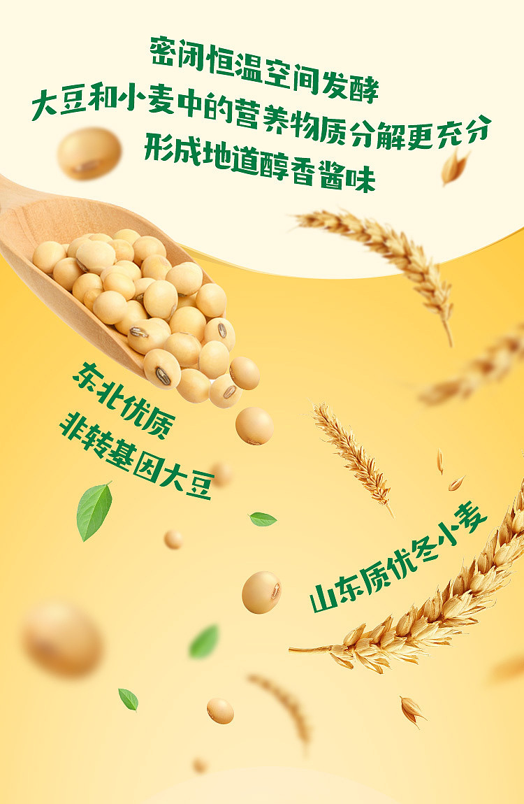 green-onion-mate-bean-sauce-450g-5