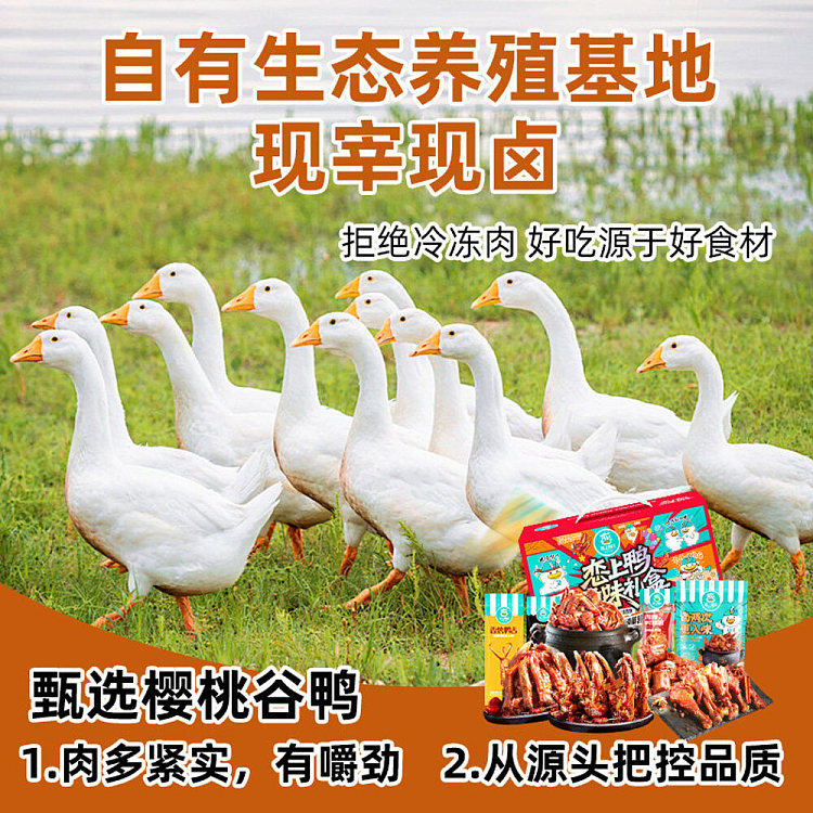 in-love-with-sweet-and-spicy-duck-feet-104g-4