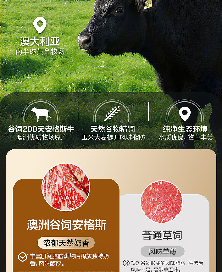 liangpinpu-beef-crisp-australia-angus-thin-crisp-beef-original-flavor-22g-5