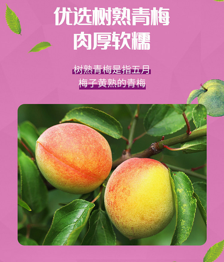 slippery-plum-ume-flavor-60g-4