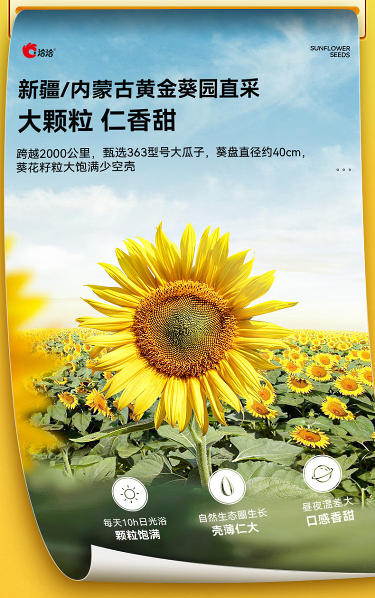 qiaqia-young-people-among-the-small-mal-gas-jasmine-biluochun-flavor-melon-seeds-98g-2