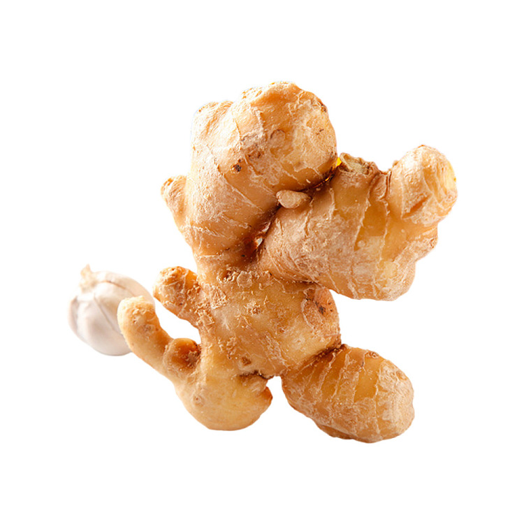 ancient-pine-ginger-brown-sugar-260g-2