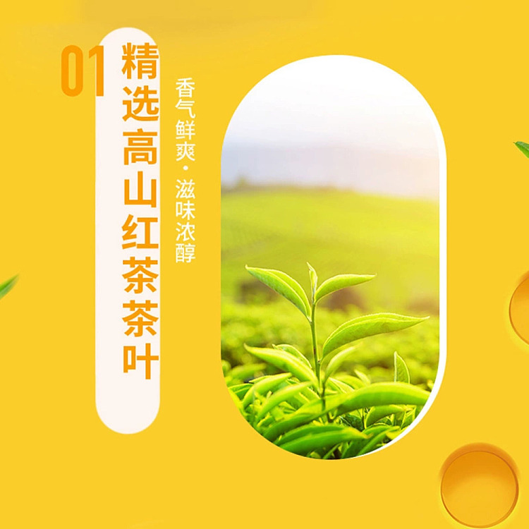 unity-assam-milk-tea-rock-salt-cheese-450ml-2