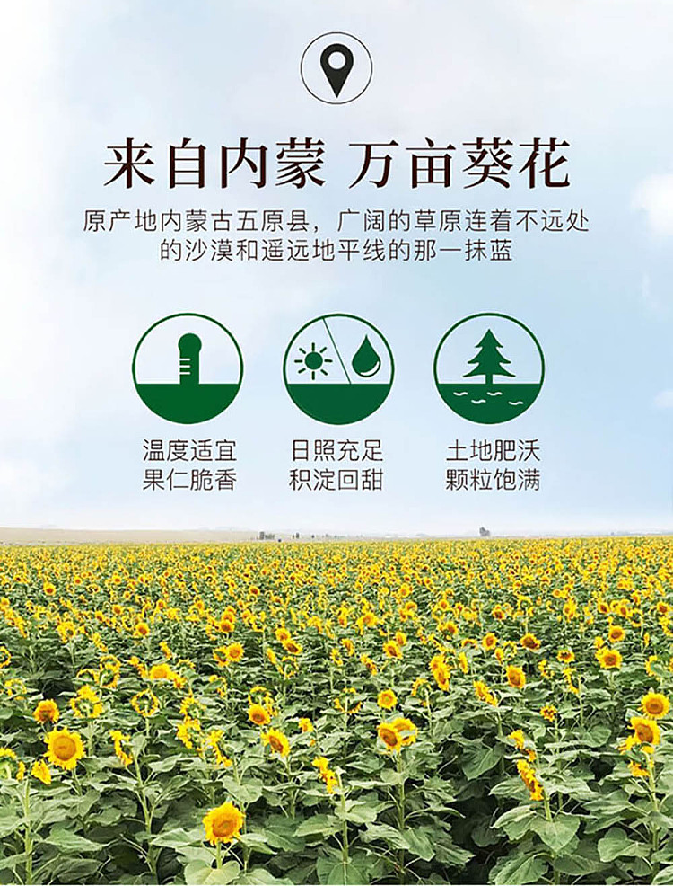 laojiekou-melon-seeds-hickory-flavor-400g-3