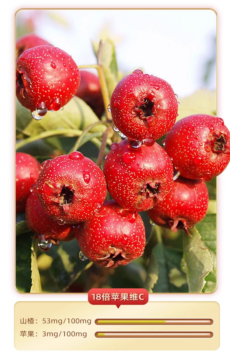 commune-union-hawthorn-skewers-105g-5