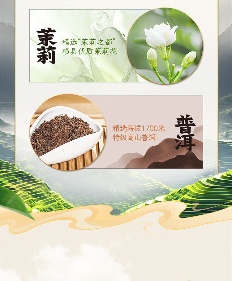 dongpeng-beverage-oolong-shangcha-555ml-3